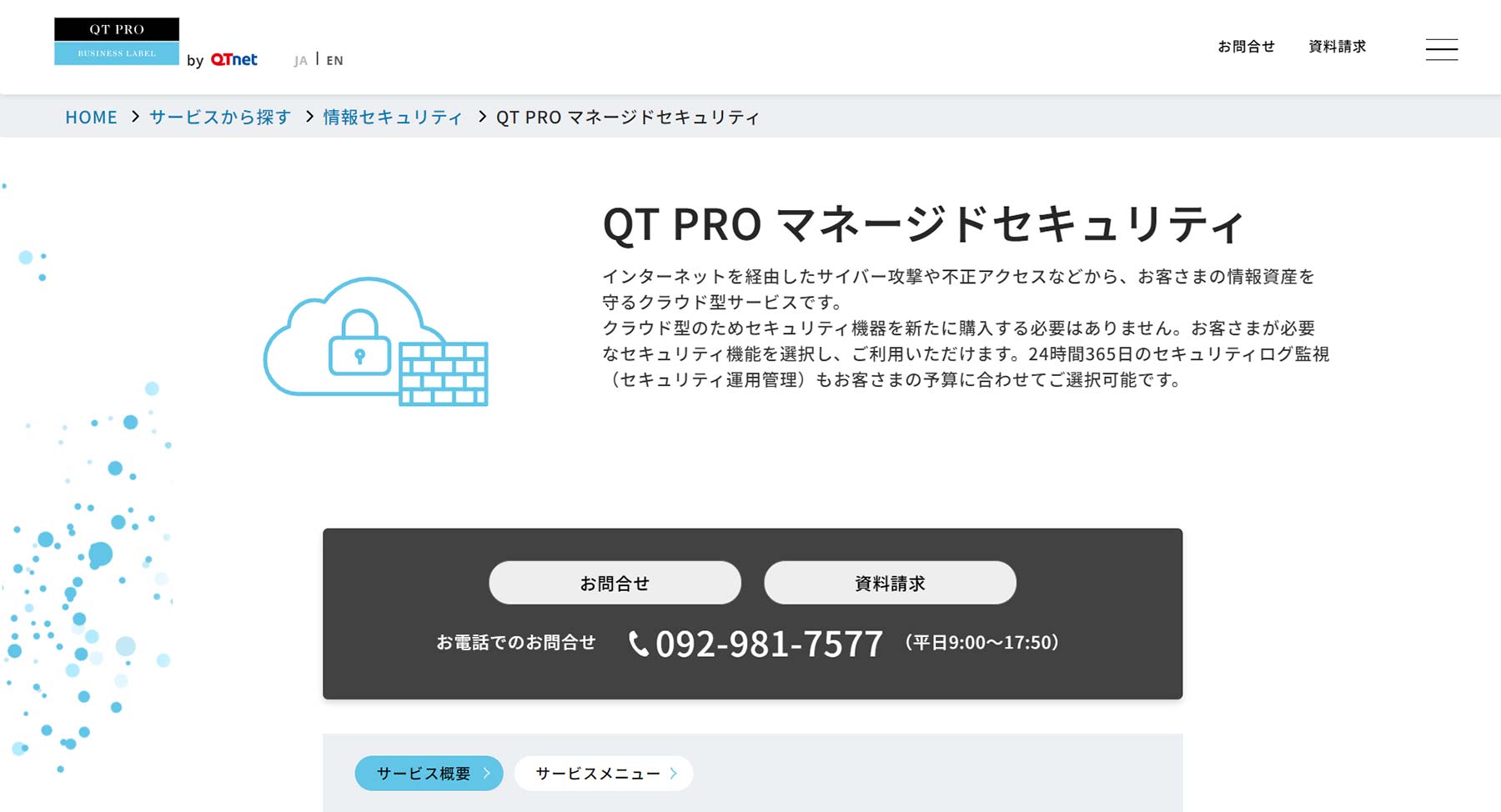 QT PRO マネージドセキュリティ公式Webサイト