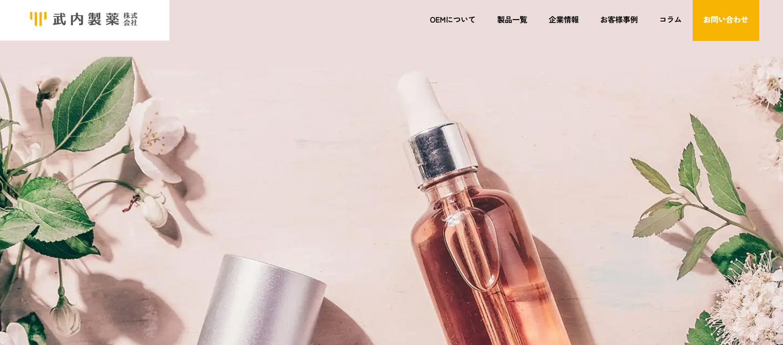 武内製薬株式会社公式Webサイト