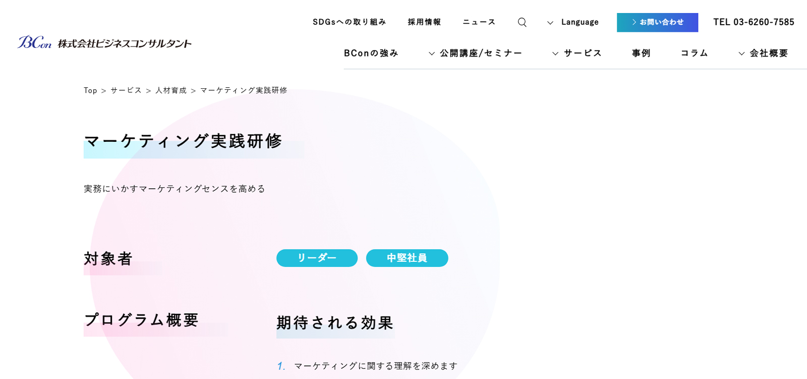 ビジネスコンサルタント公式Webサイト